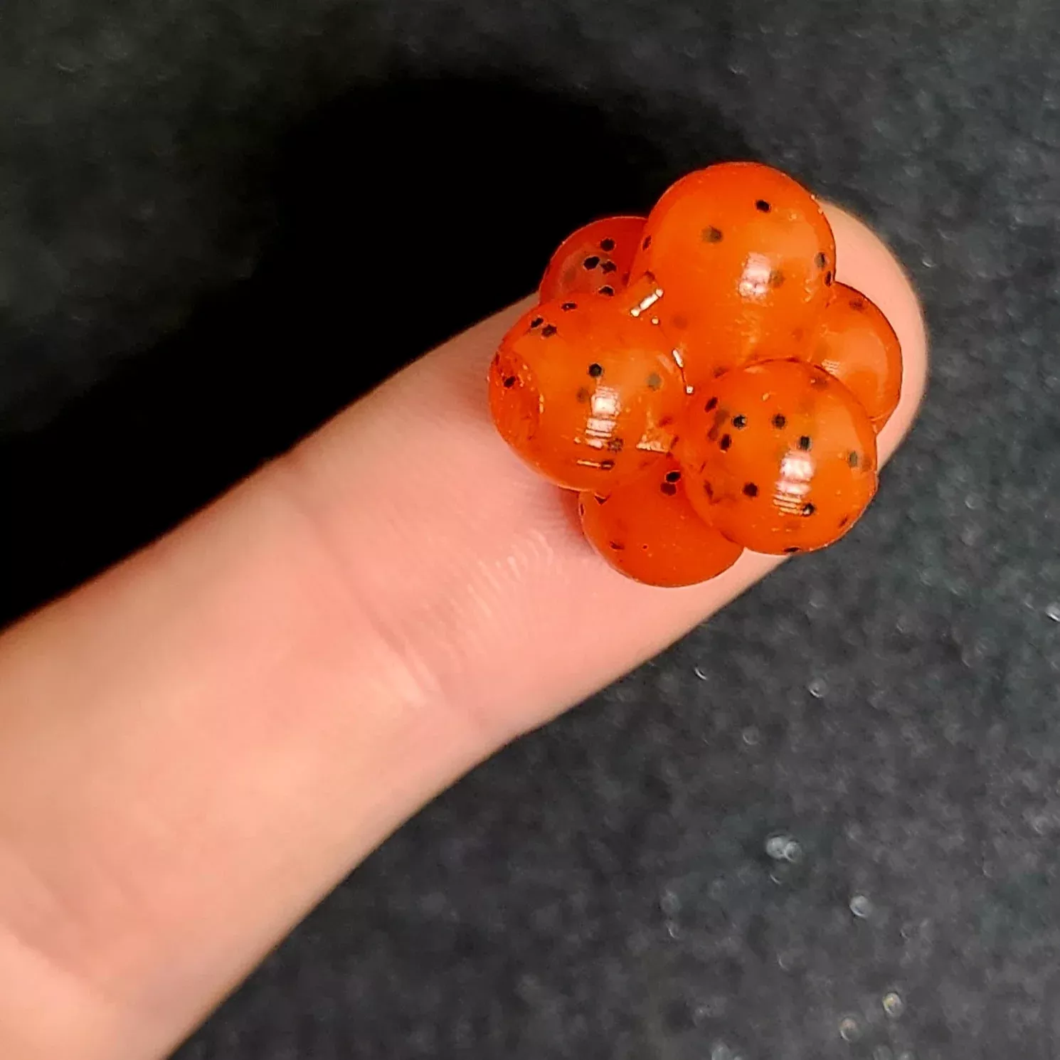 0.8" Salmon Egg Cluster "Ditch Caviar"