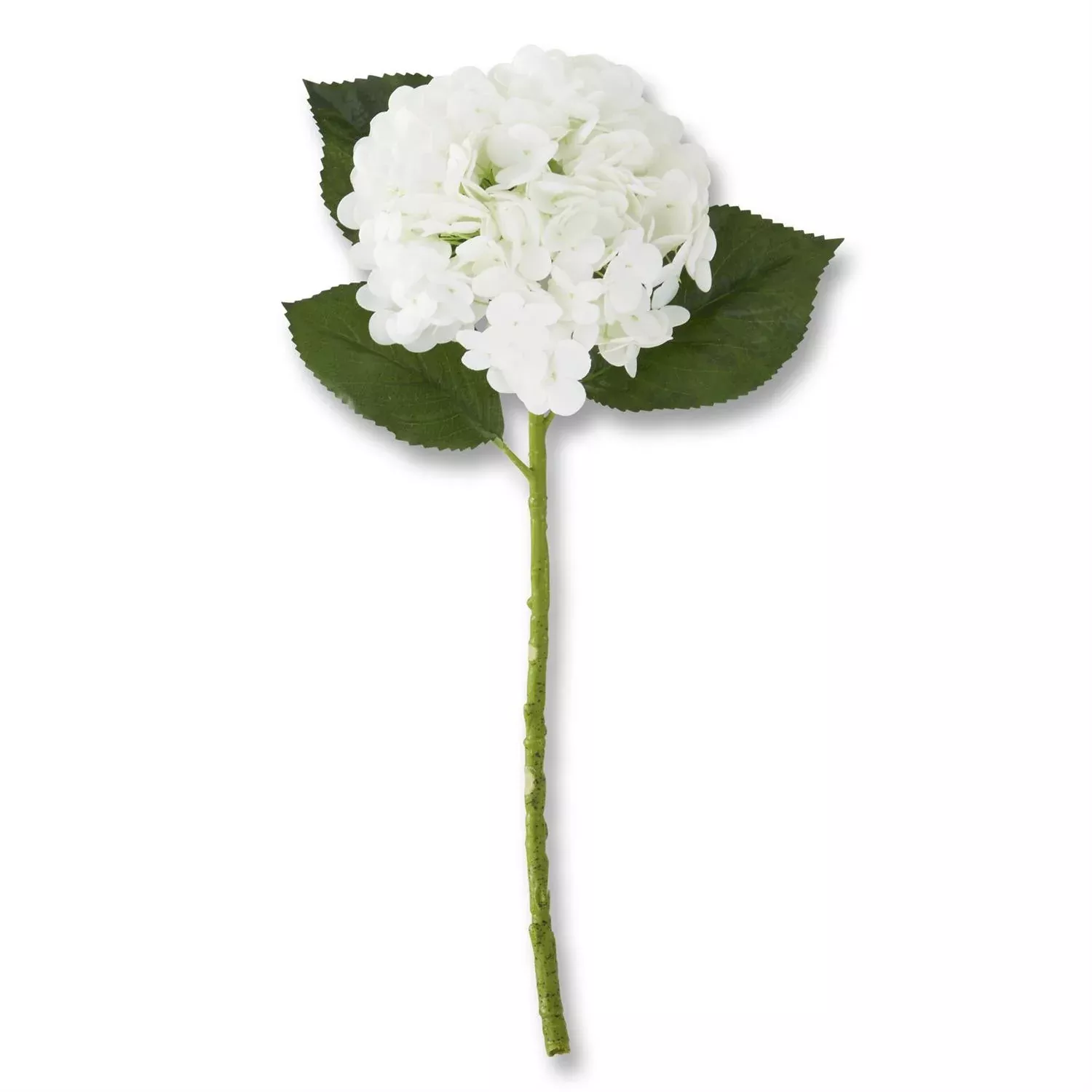 20" Hydrangea Stem
