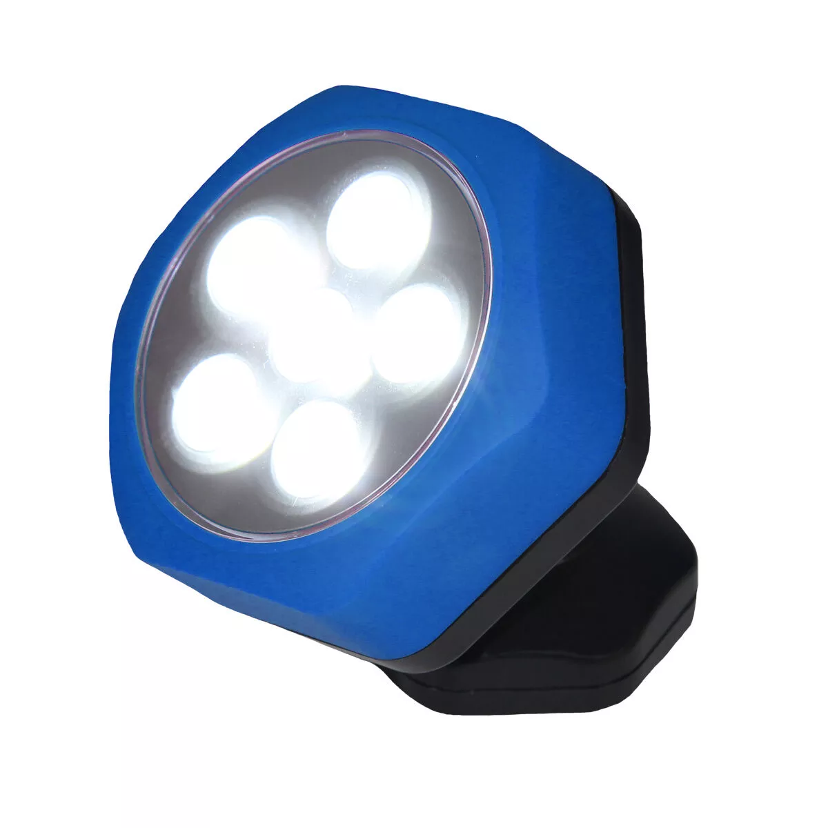 6 LED Swivel Light