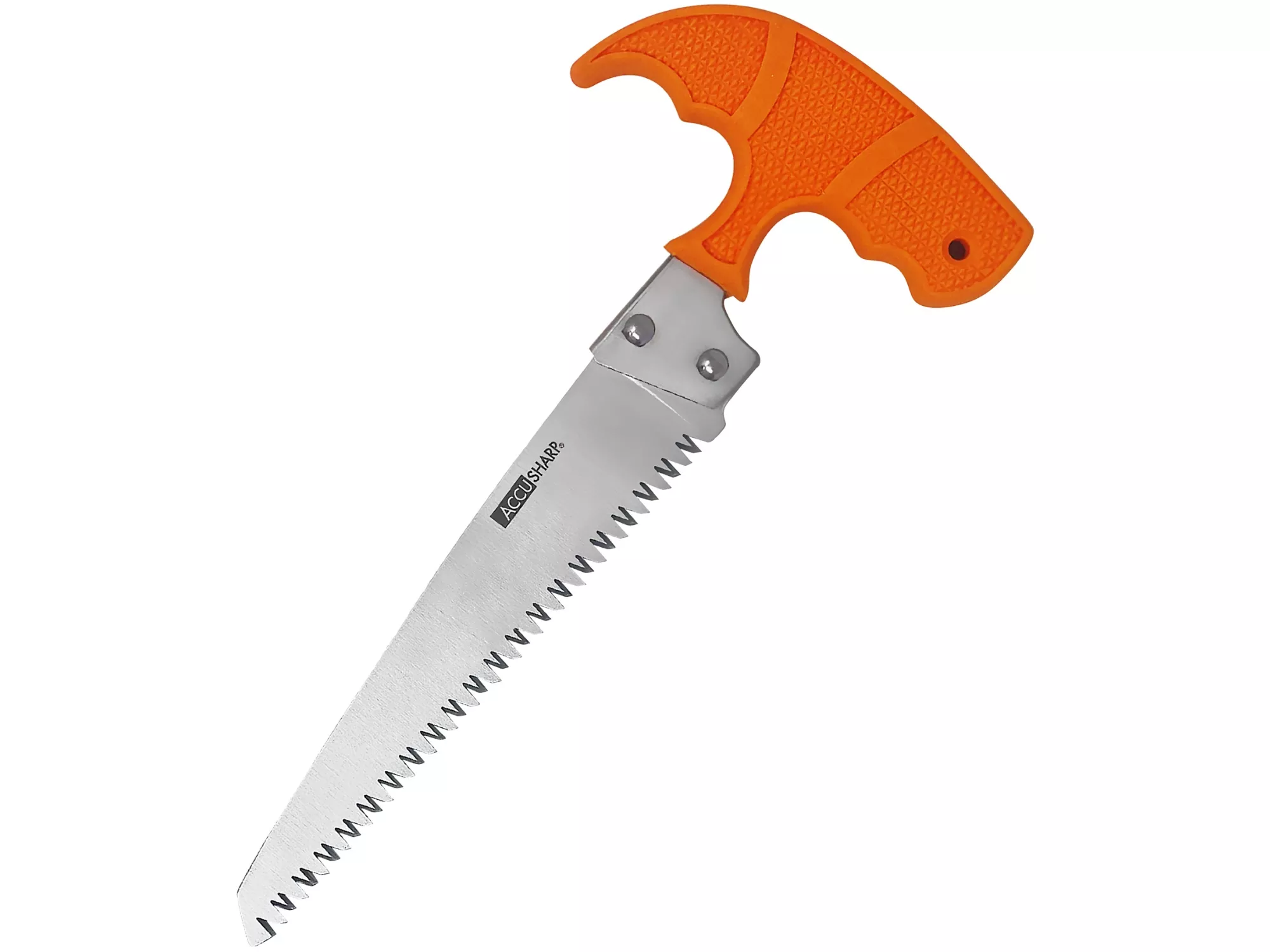 AccuSharp 6" Bone Saw Fixed Stainless Blade Blaze Orange Handle