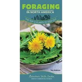 AdventureKEEN Foraging In North America