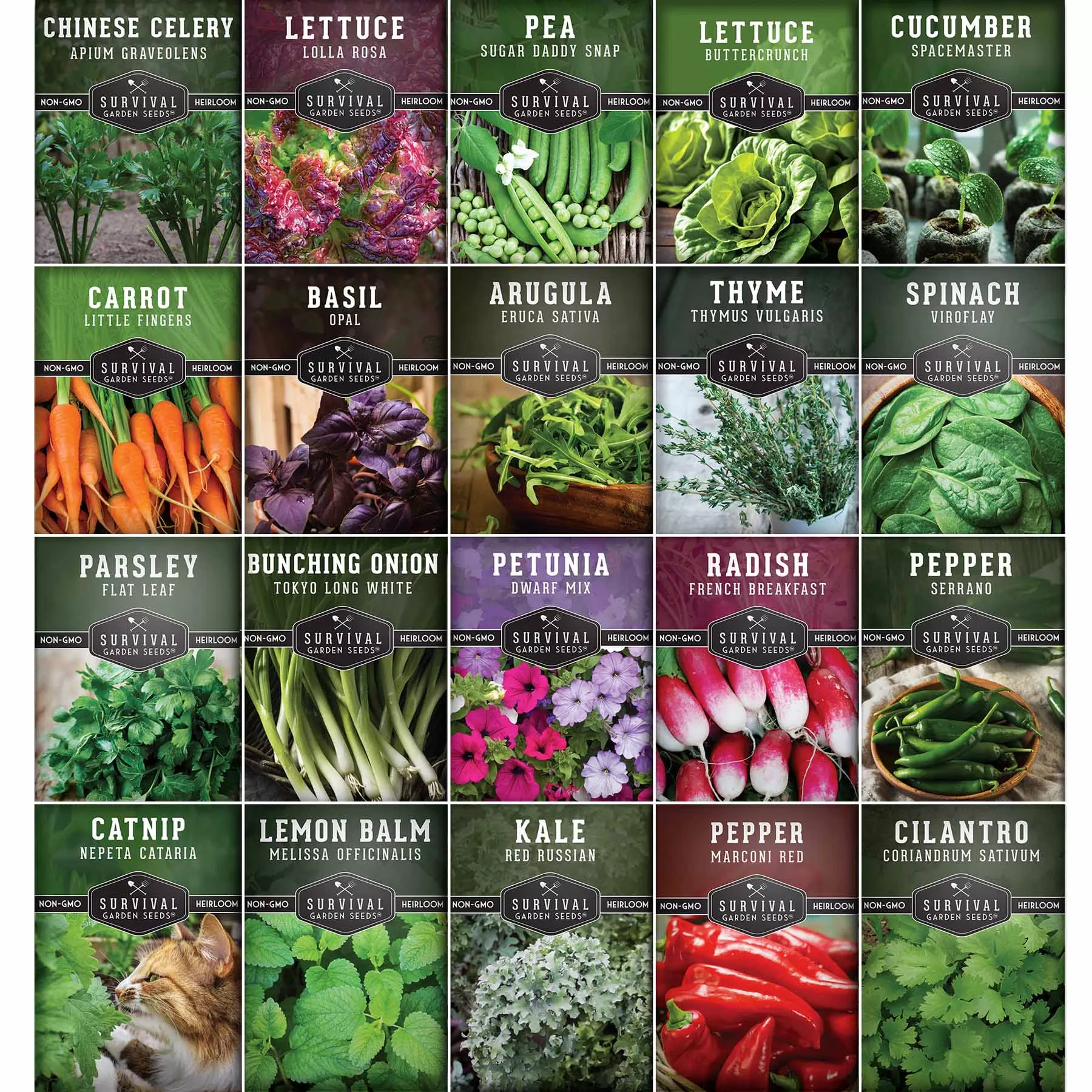 Apartment Kit Seed Vault – 20 Container Friendly Varieties