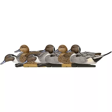 AVIAN-X AVX8082 TOPFLIGHT PINTAILS 6 PACK