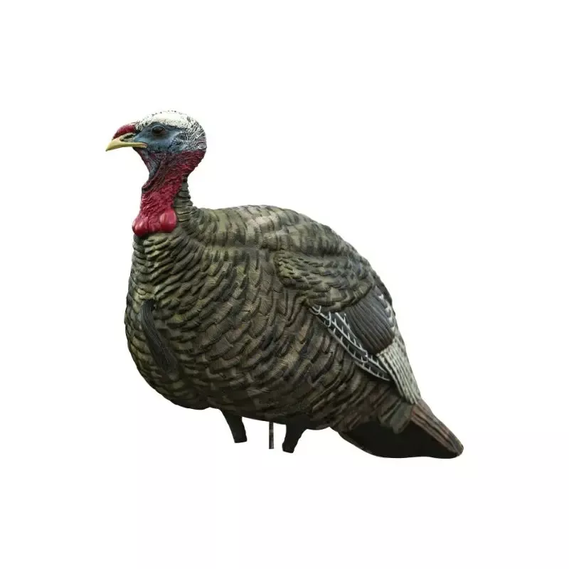 Avian-X LCD Quarter Strut Jake