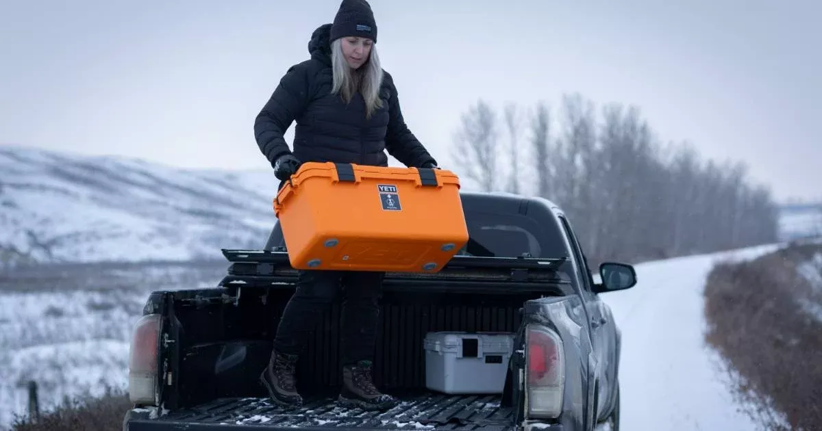 The Basecamp - 60L