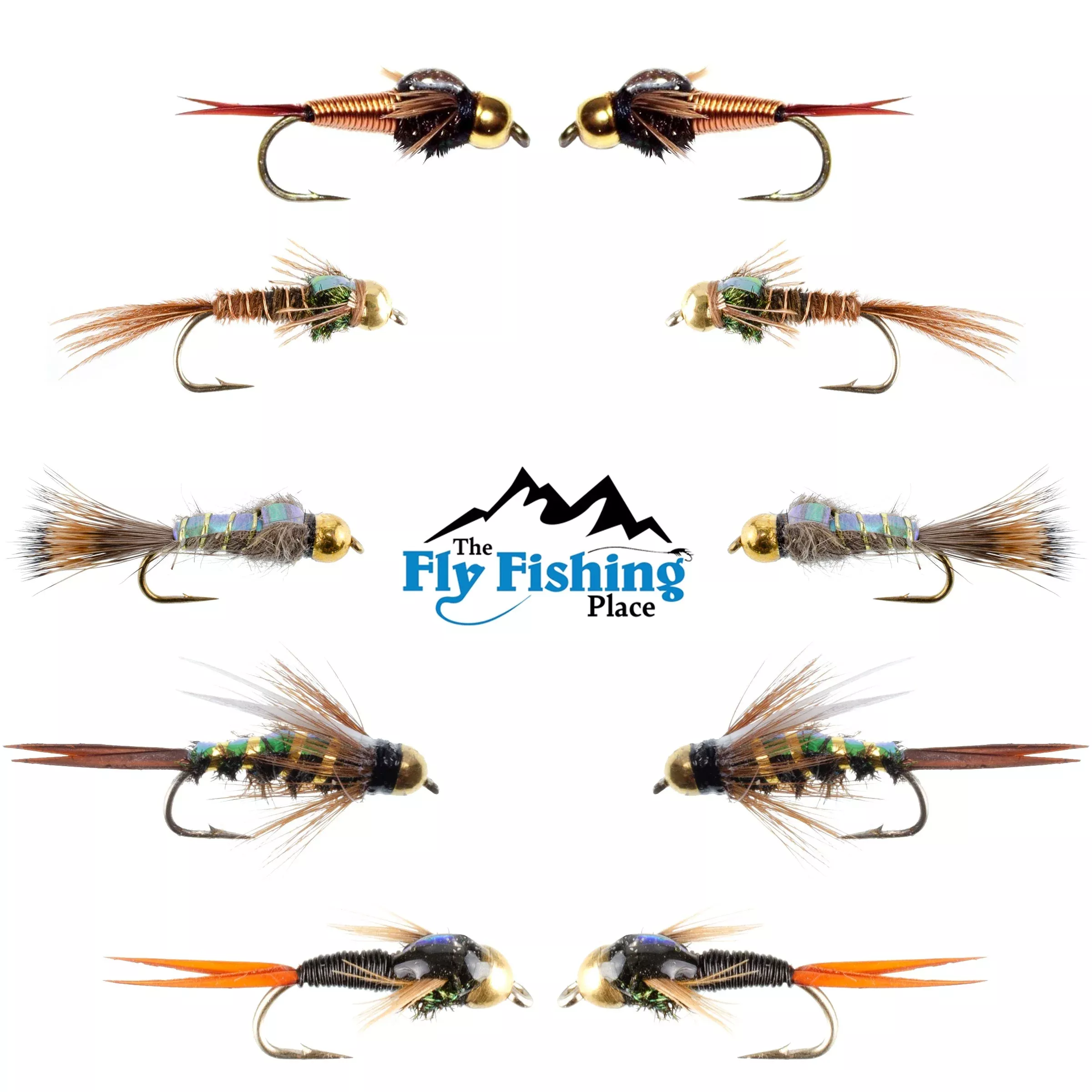 Basics Collection – Flash Back Tungsten Bead Head Nymph Assortment – 10 Wet Flies – 5 Patterns – Hook Sizes 10, 12, 14, 16