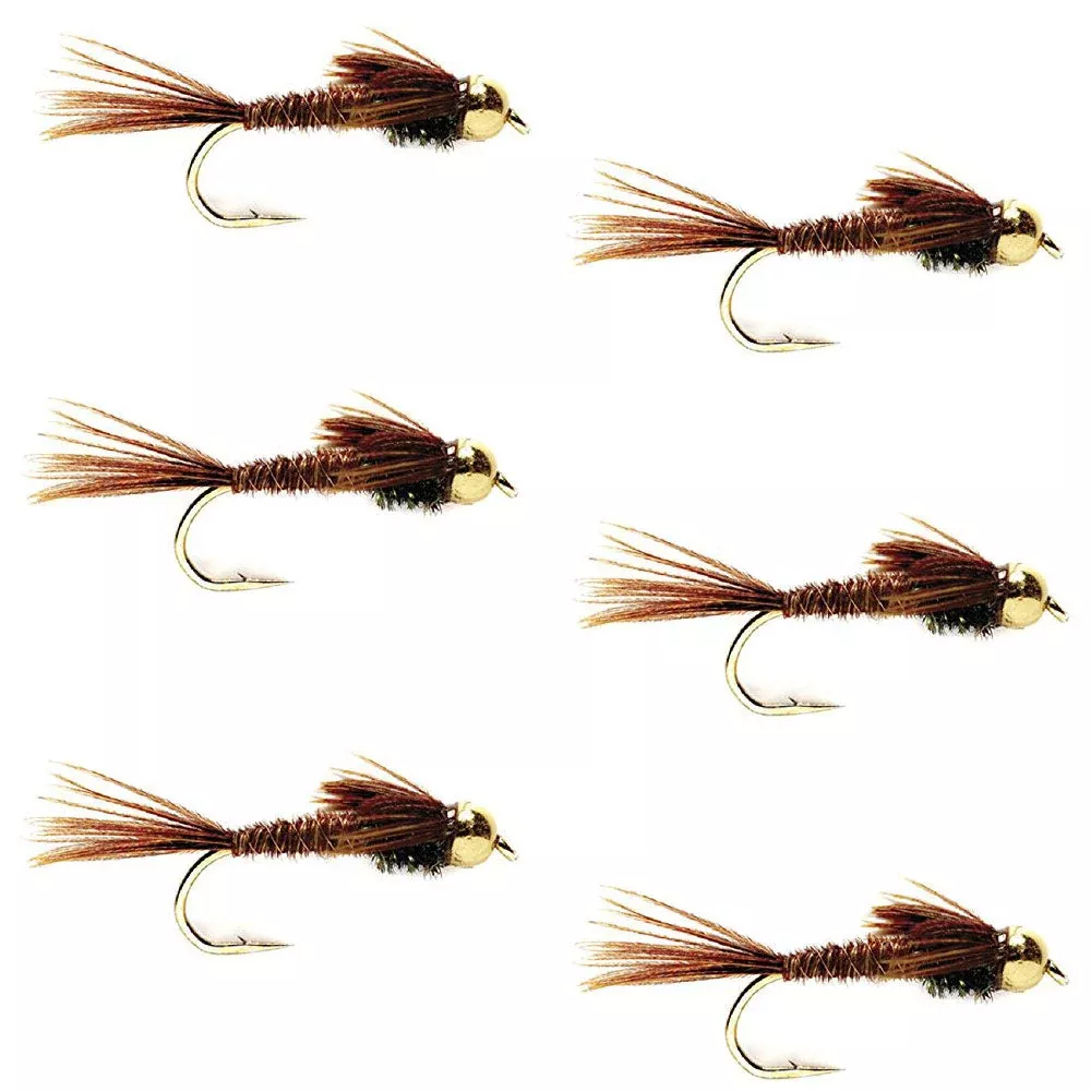 Bead Head Pheasant Tail Nymph Fly Fishing Flies – 6 Flies Hook Size 10