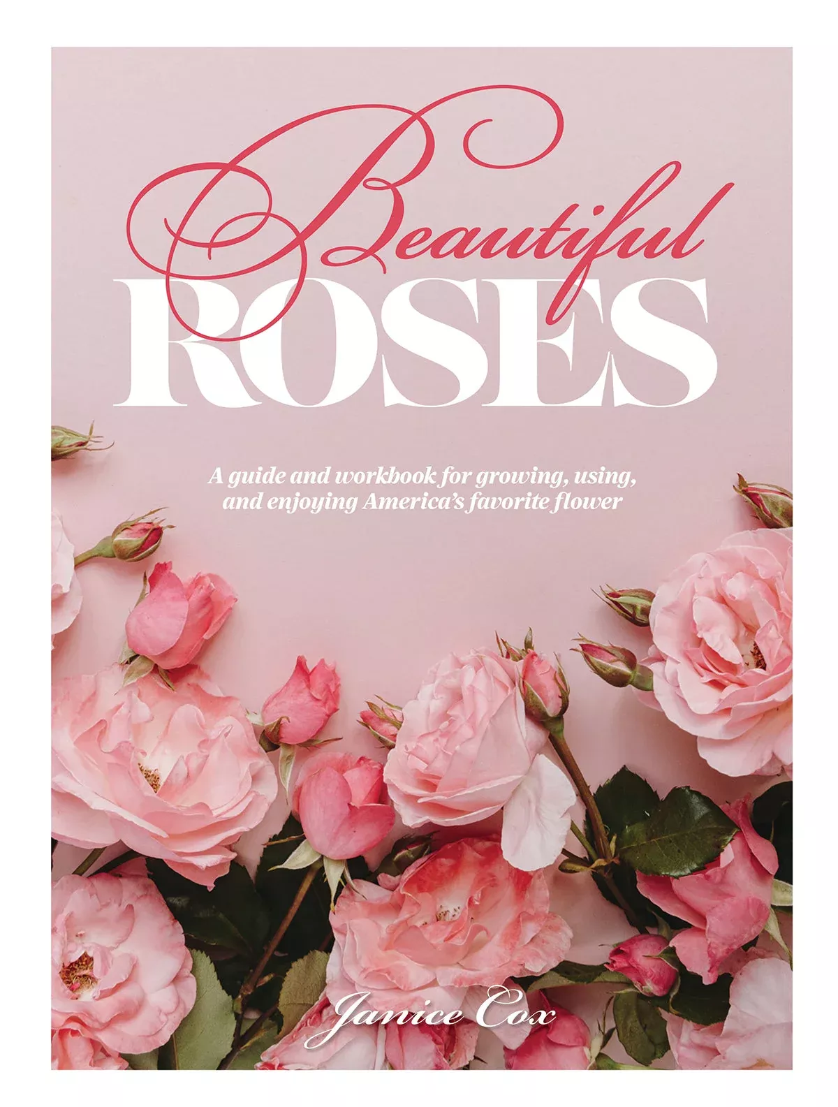 Beautiful Roses