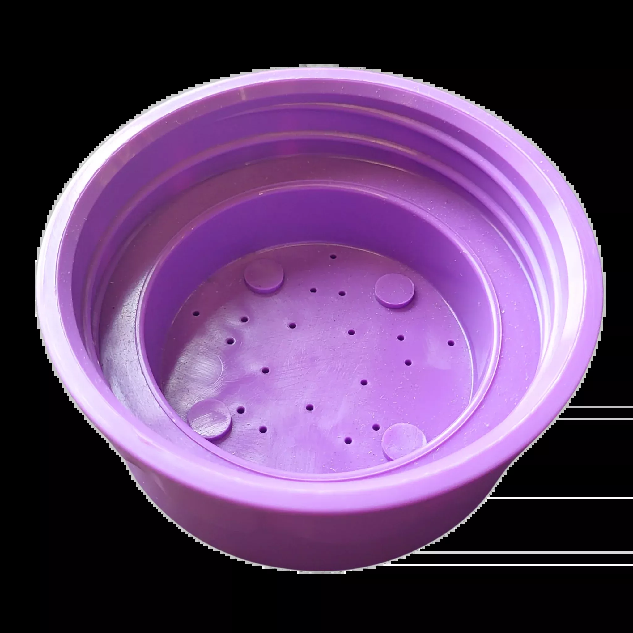 Bee Bar Lid