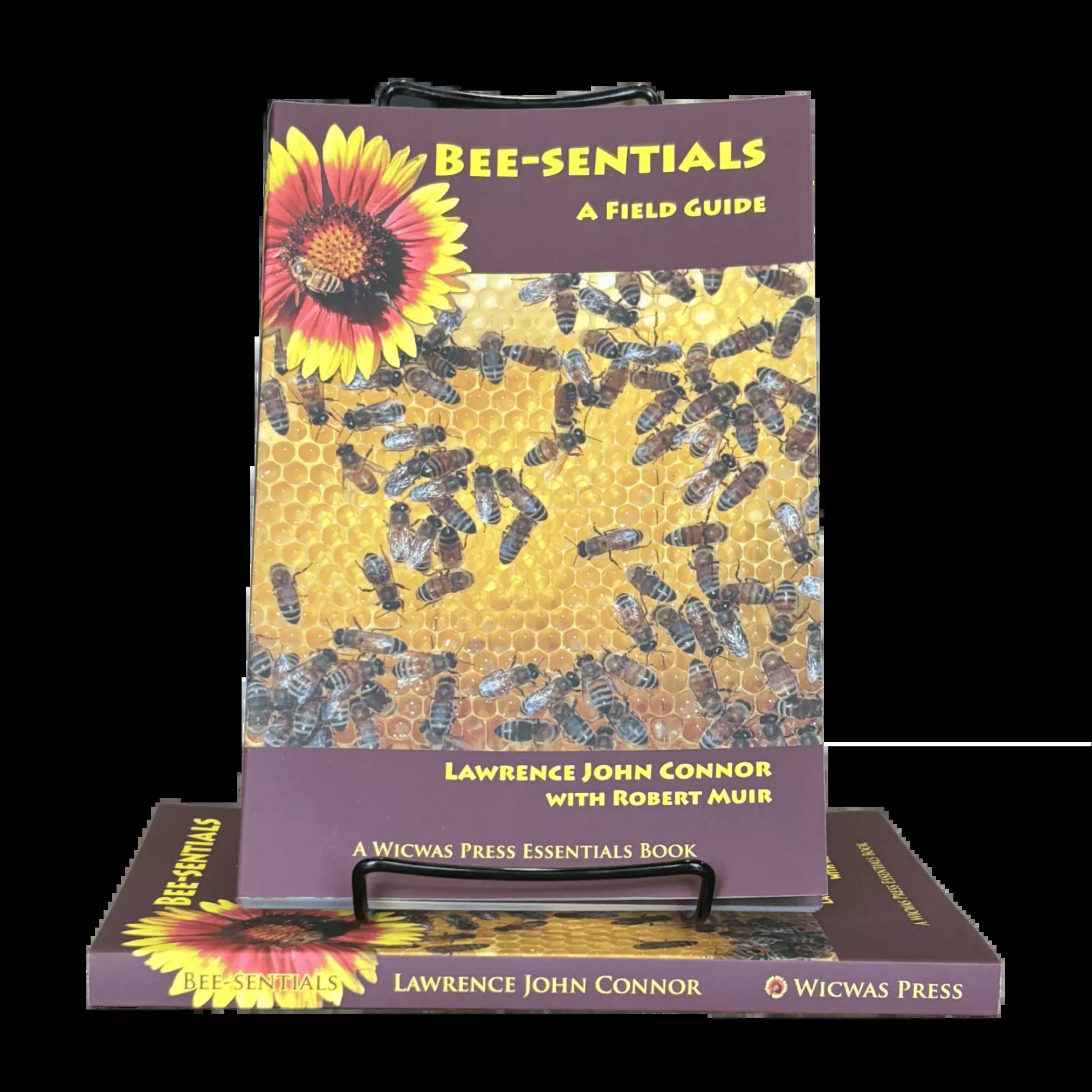 Bee-sentials - Beginner Book