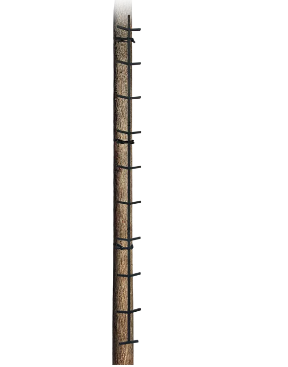Big Dog 20′ Climbing Stick