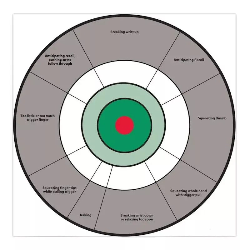 Birchwood Casey Eze-Scorer Handgun Trainer 12" Paper Target