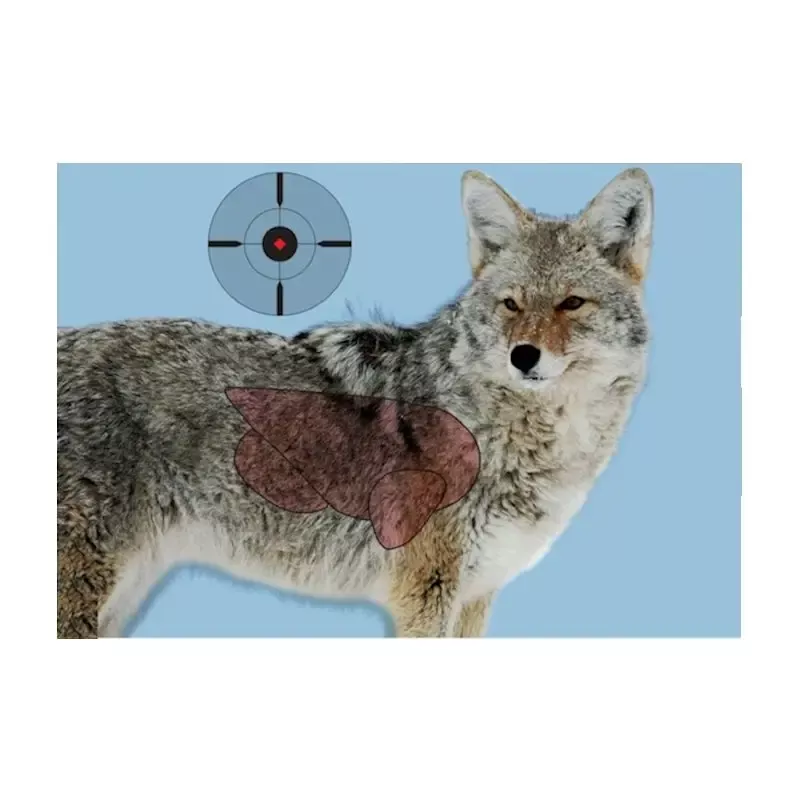 Birchwood Casey Pregame Coyote Targets 16.5 x 24″