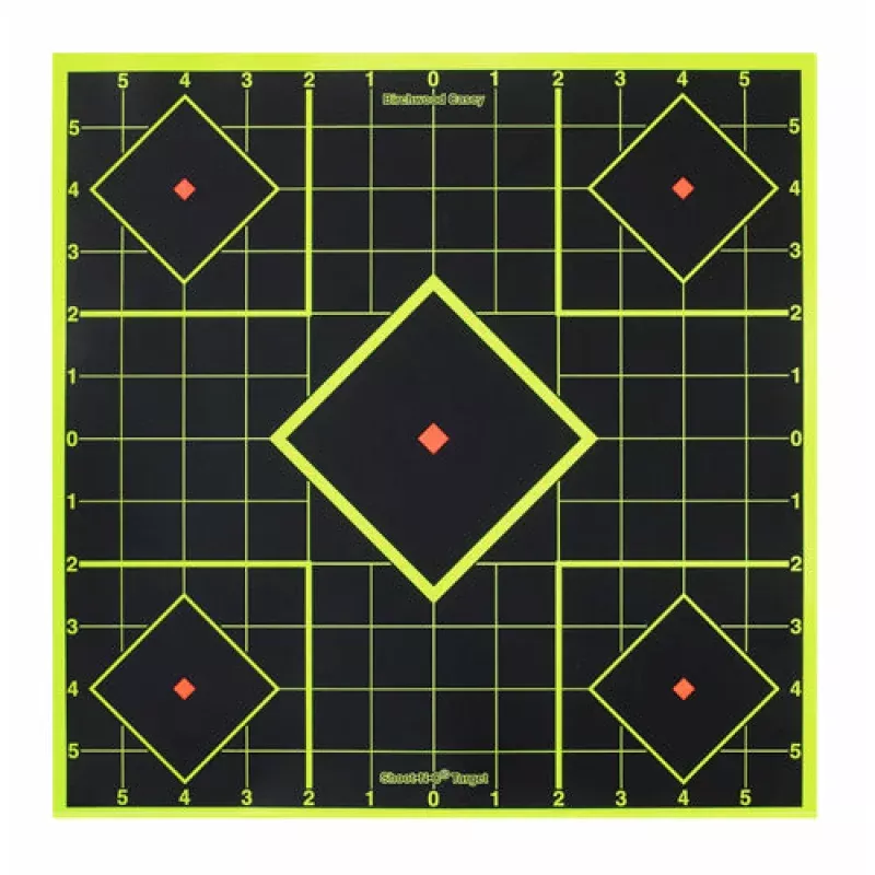 Birchwood Casey Shoot-N-C 8in Sight-In Target – 15 Targets 36 Pasters