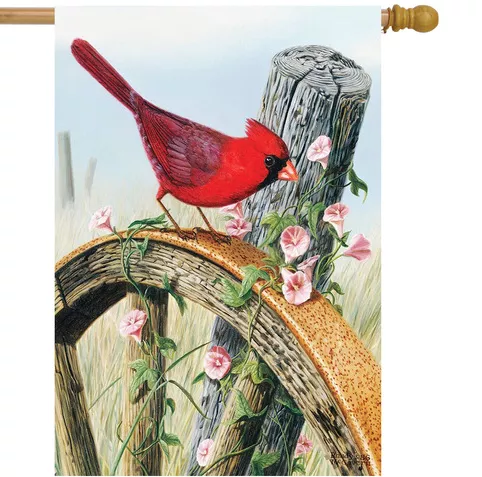 Briarwood Lane Cardinal Morning Glory House Flag #HFBL-H00319