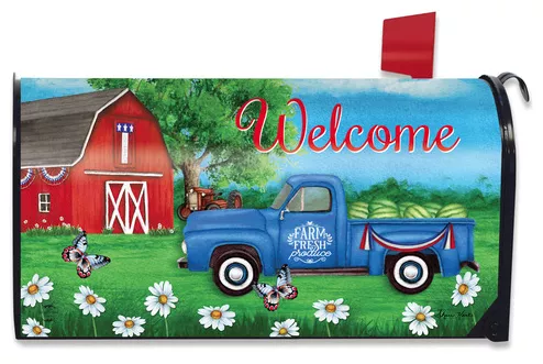 Briarwood Lane Sunshine Barn Large Mailbox Cover #OSBL-L01211