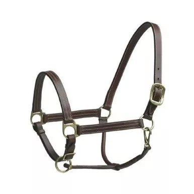 CAMELOT Stable Halter Cob (464283BRN-COB)