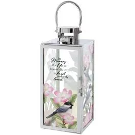 Carson Home Accents LED Lanterns