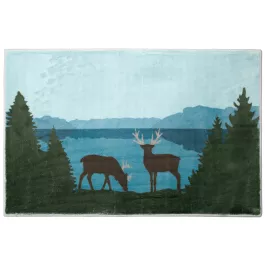 Carstens Indoor Rugs – 2′ x 3′