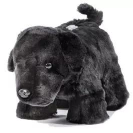 Carstens Plush Coin Banks