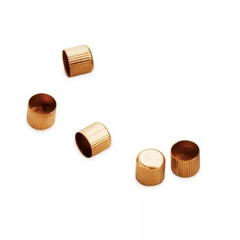 CCI #10 Percussion Caps for Muzzleloading 100 ct