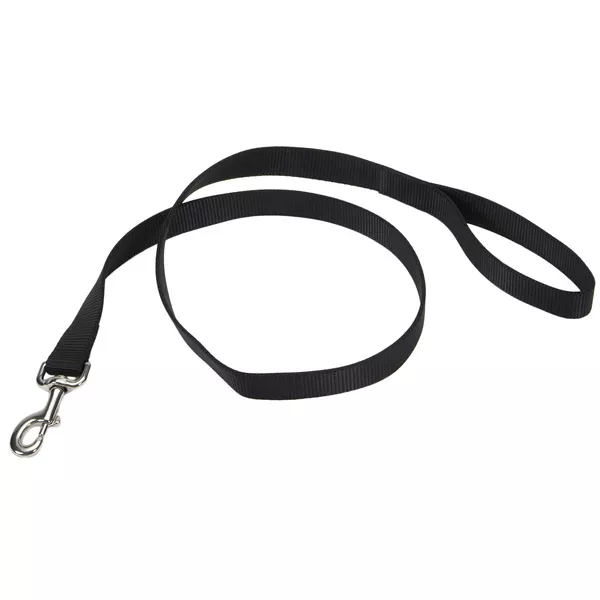 Coastal Single-Ply Nylon Dog Leash 5/8″ x 4′