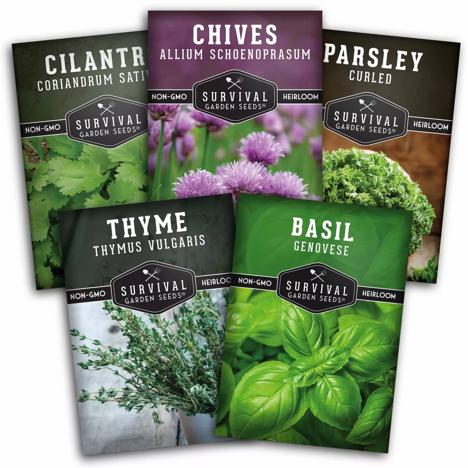 Culinary Herb Seed Collection – 5 Essential Kitchen Herbs for Indoor or Outdoor Growing