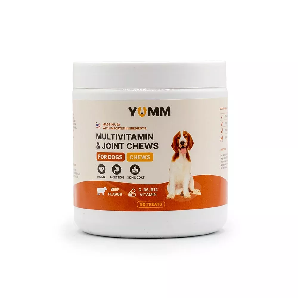 Daily Joint + Multivitamin Soft Chews for Dogs