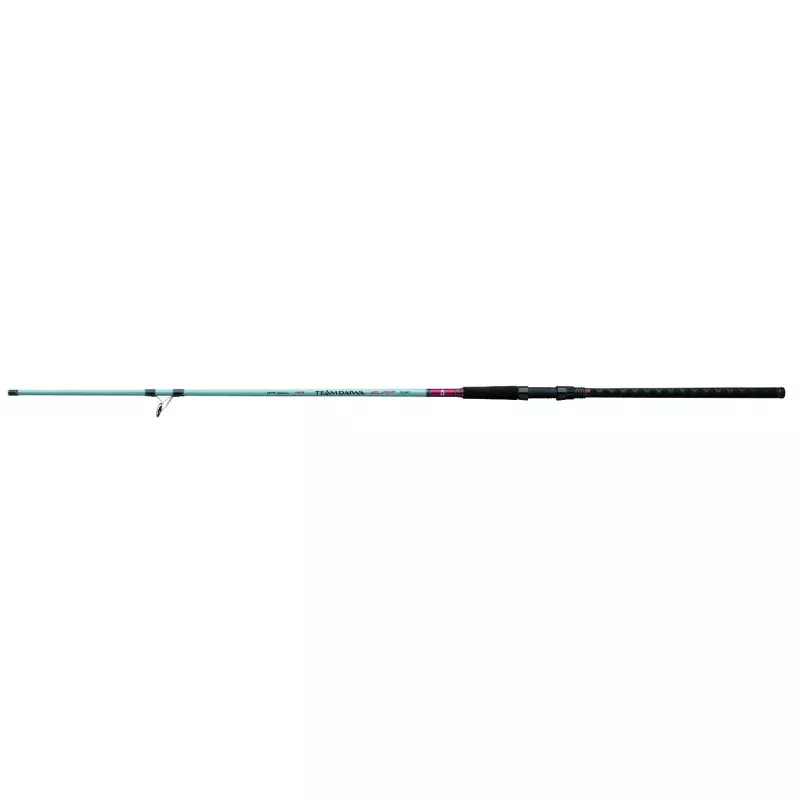 Daiwa TD Surf Spinning Rod 9ft Medium Heavy 2 Piece