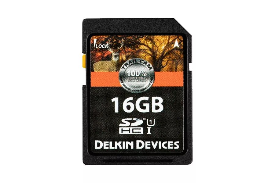Delkin Devices Inc Trail Cam Class 10 SDHC Card – 16 GB