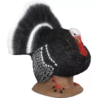 Delta Mckenzie Strutter Turkey Backyard 3d Target