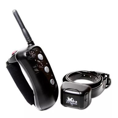 DT SYSTEMS RAPT 1400 Remote Dog Trainer (RAPT1400)