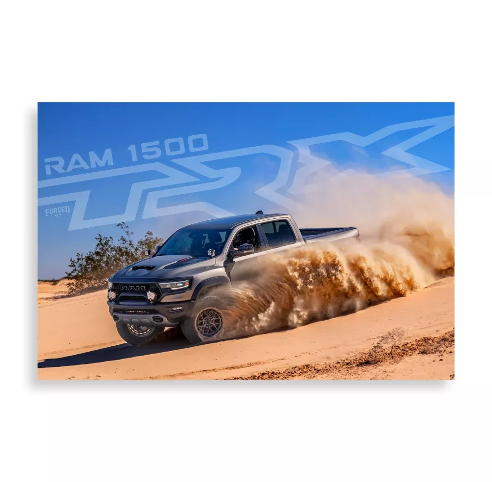 Dune Surfing Poster