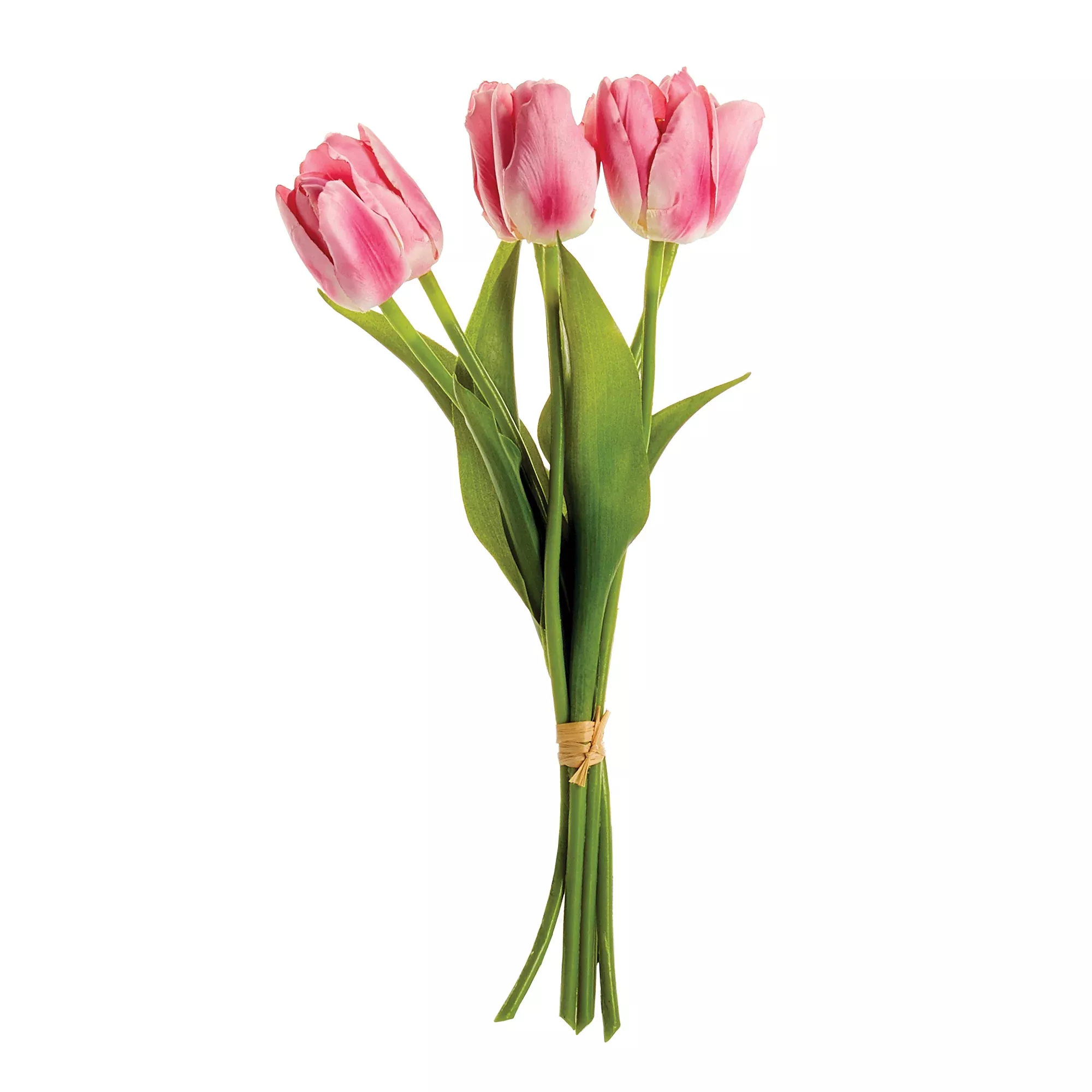 Dutch Tulips 15" Bundle of 6