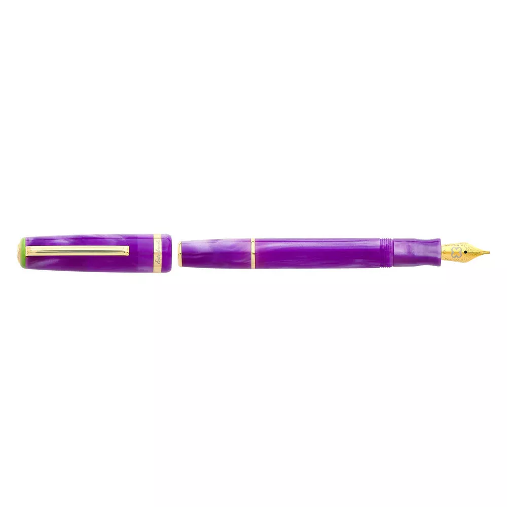 Esterbrook JR Paradise Purple Passion Fountain Pen Medium Nib