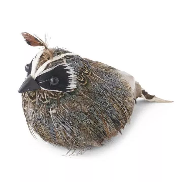Feathered Quail