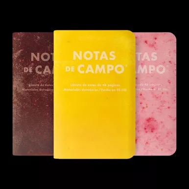 Field Notes SUMMER 2026 QUARTERLY EDITION Paletas Pack B