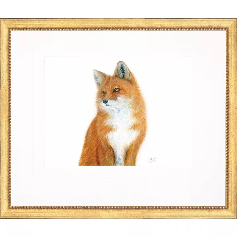 Fox Bust Framed Print