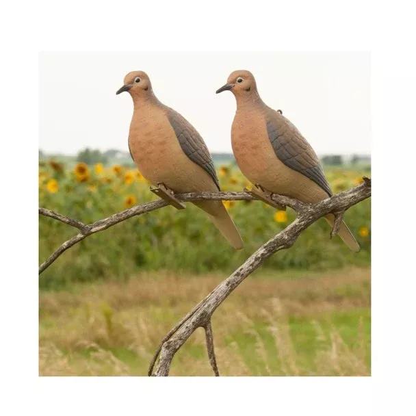 GHG Mourning Dove Decoy Set