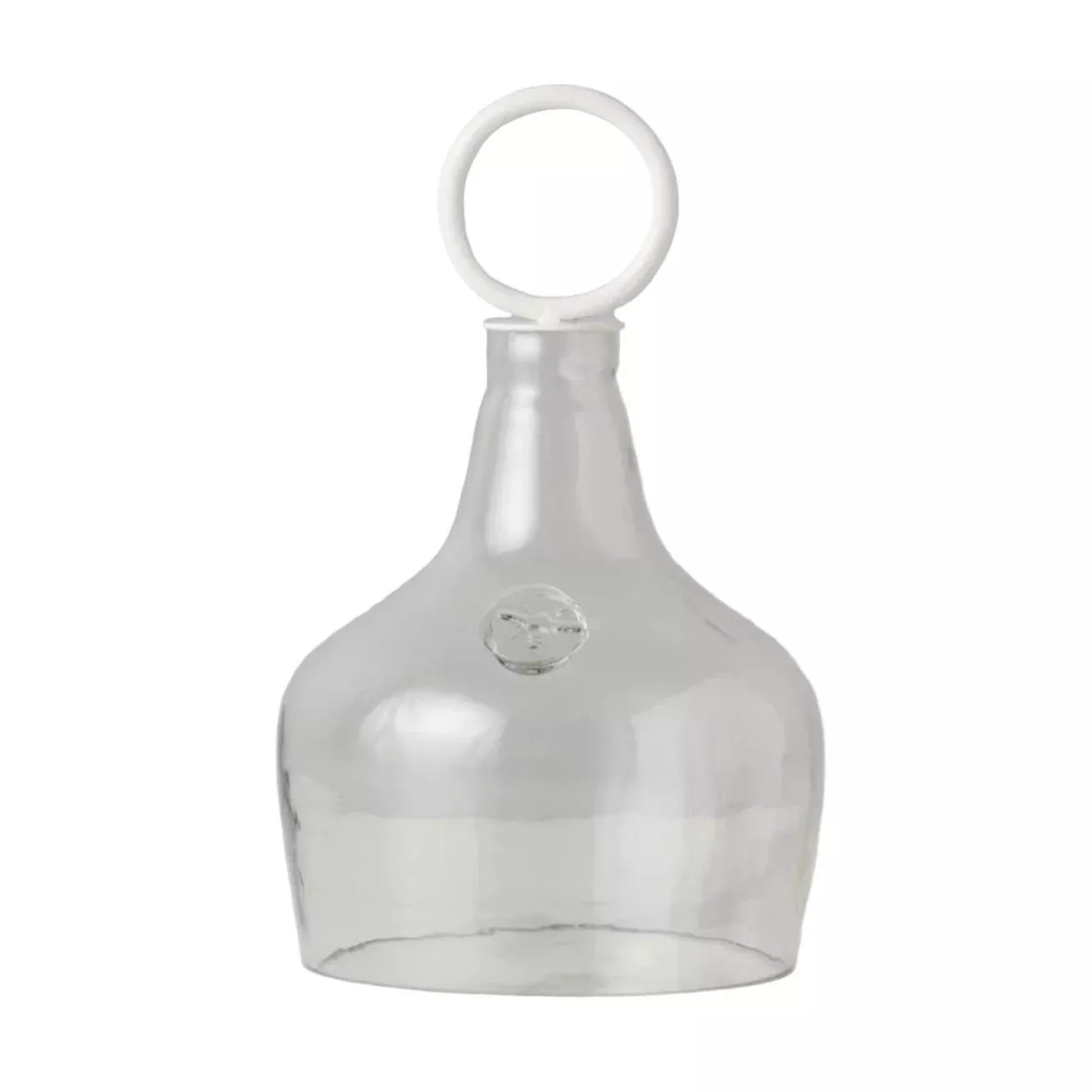 Glass Cloche Food Cover