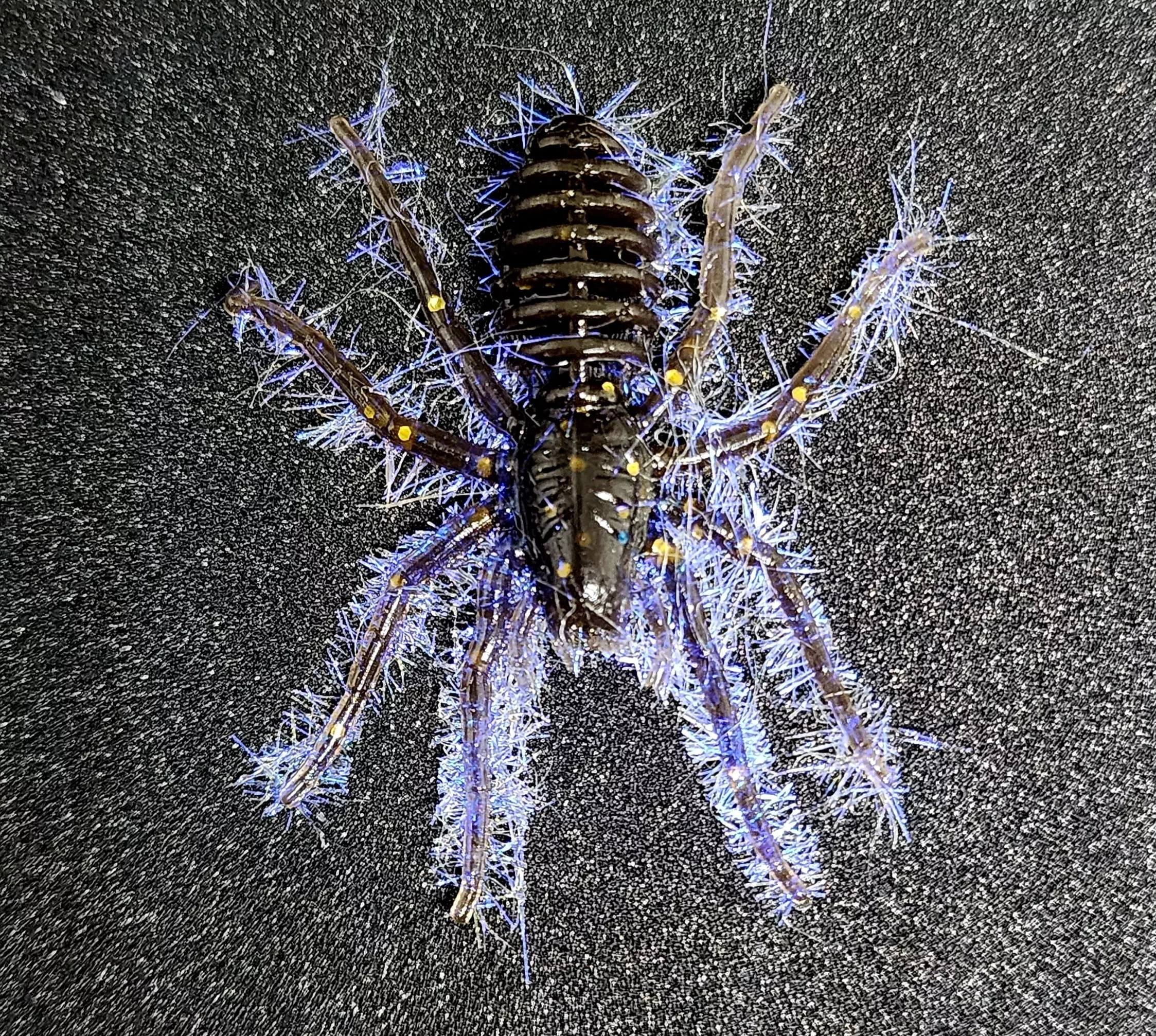 Hairy 1″ Micro Spider Bait “The Writing Spider”