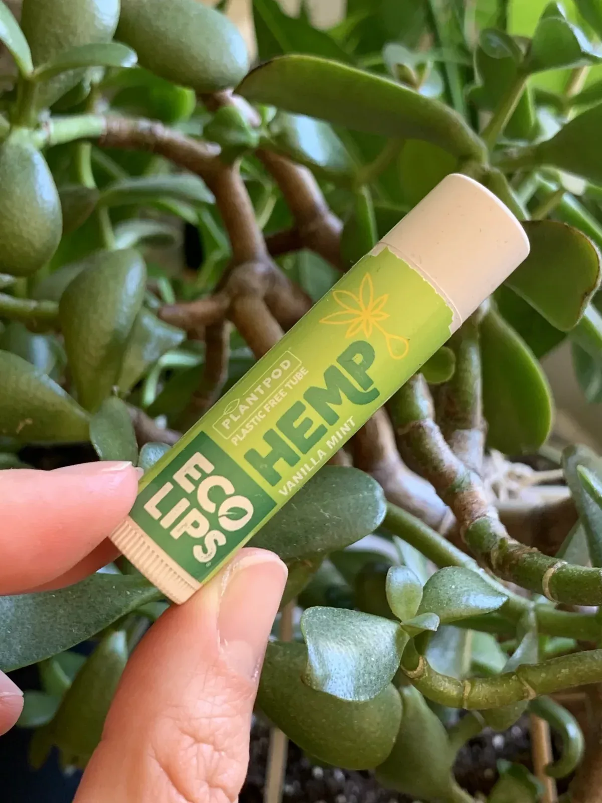 HEMP PLANT POD LIP BALM