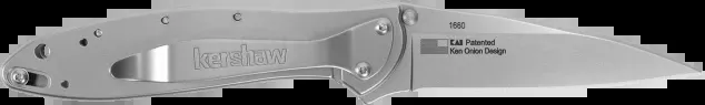 Kershaw Leek Assisted Folding Knife – Composite D2/14C28N Blade, Stainless Handle, 1660CB