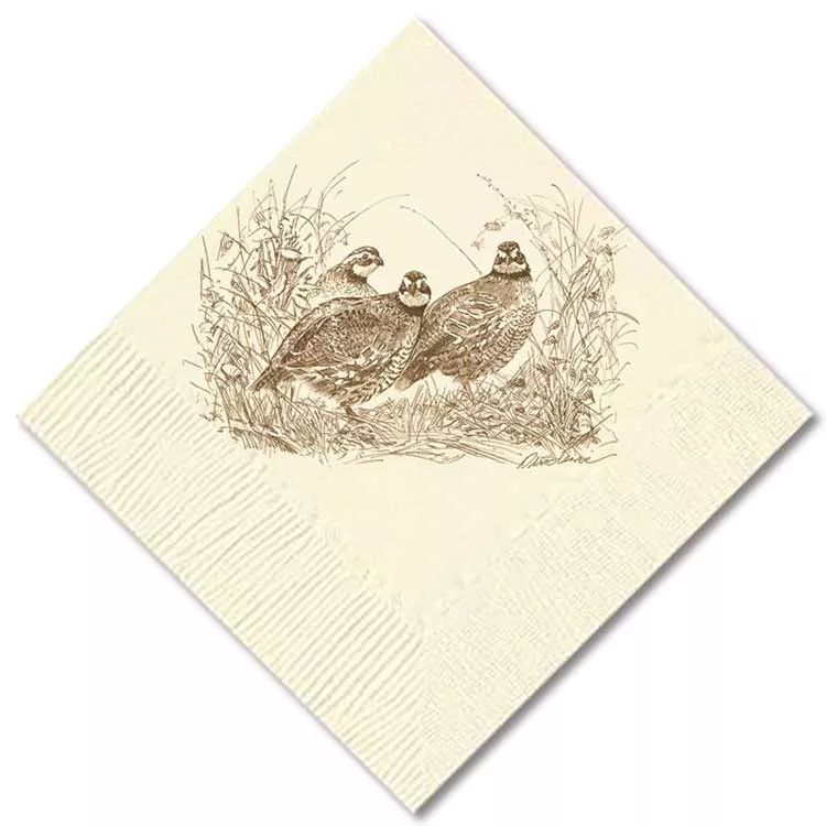 Kevin's Custom 5" Napkins