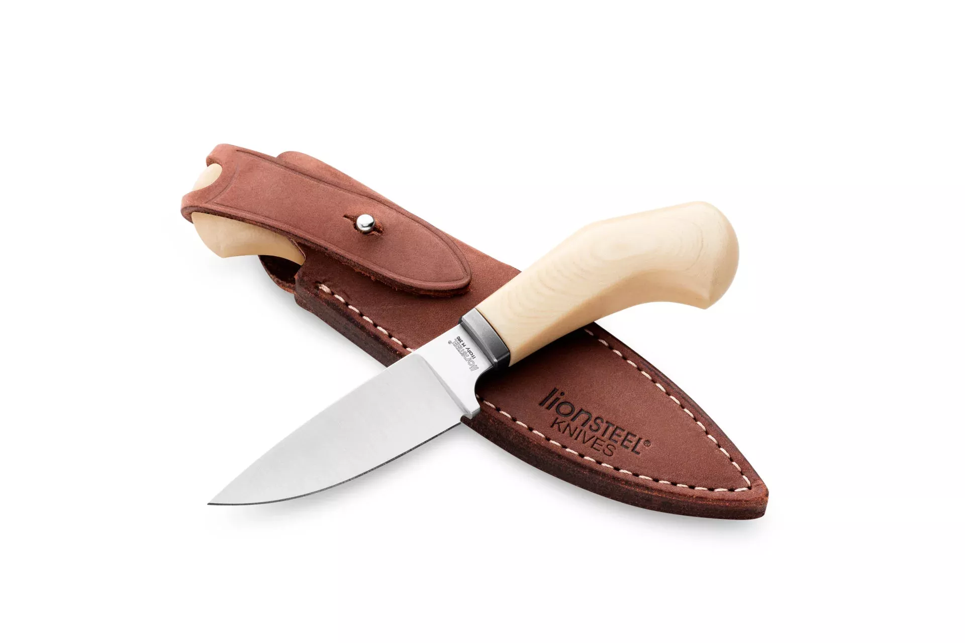 LionSTEEL WILLY Compact EDC Fixed Blade Knife, Solid Handle Construction, Titanium Guard, M390 Steel Blade, Made in Italy (White Micarta)
