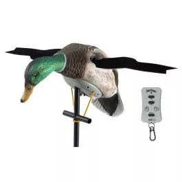 Lucky Duck Lucky XHDi