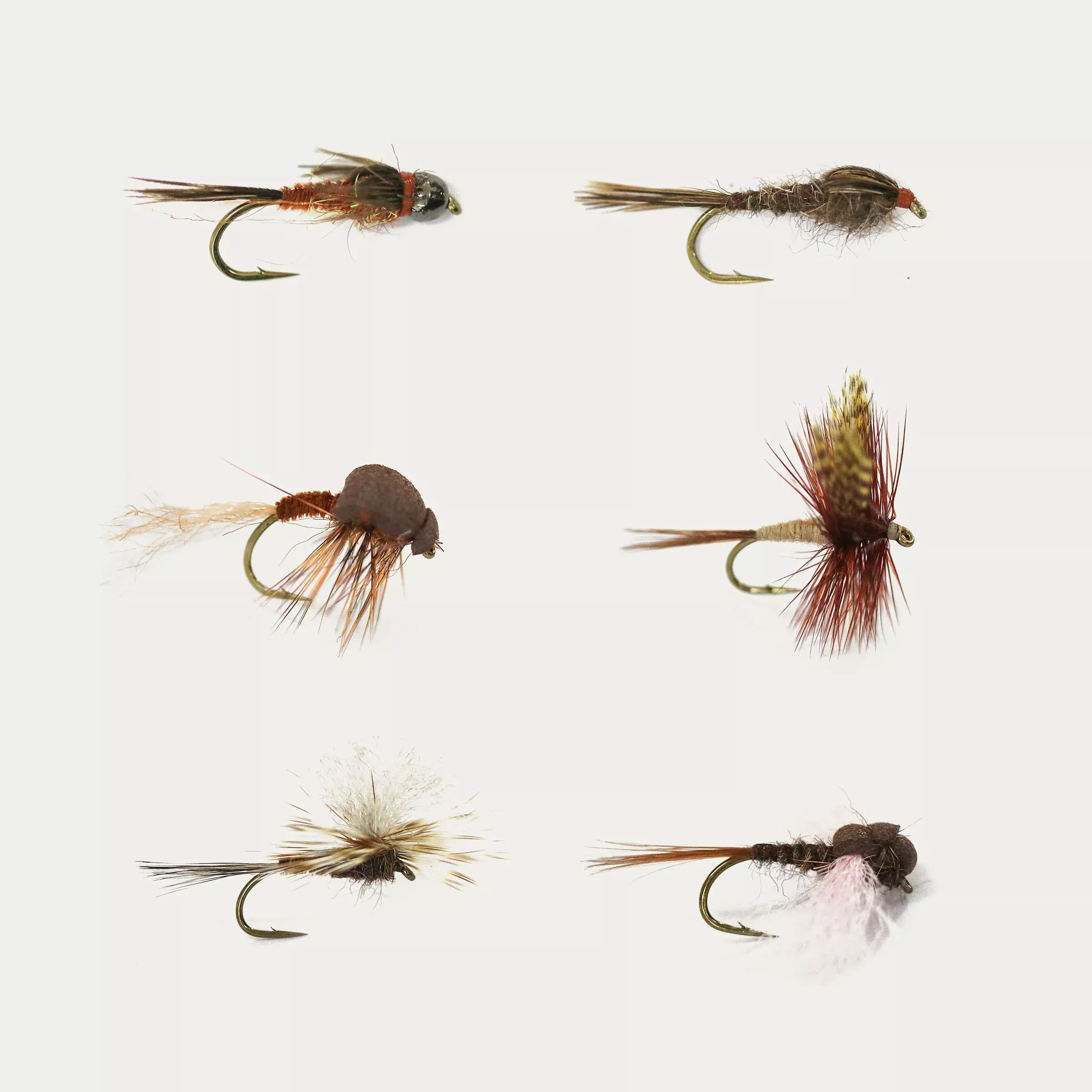 March Brown BugCycle