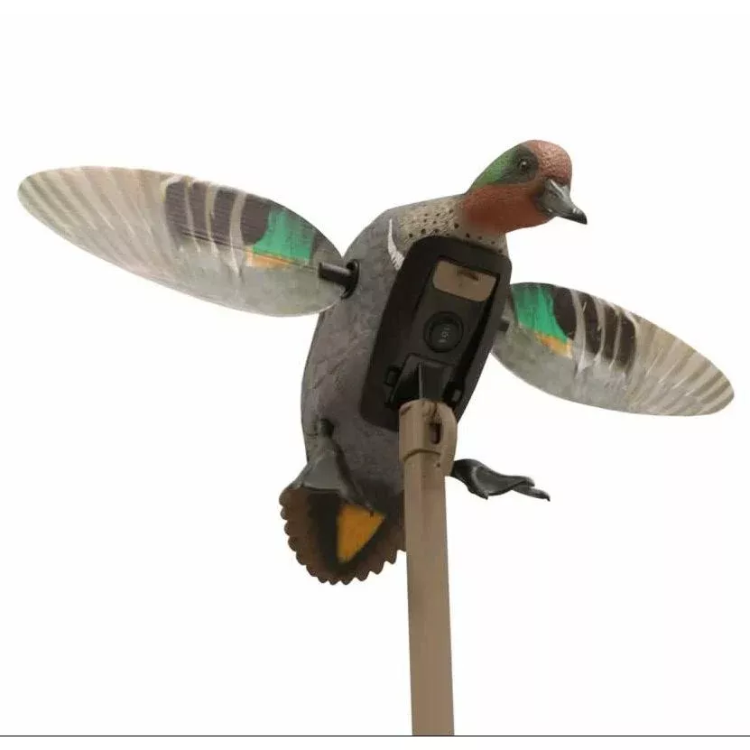 MOJO Elite Series Green Wing Teal