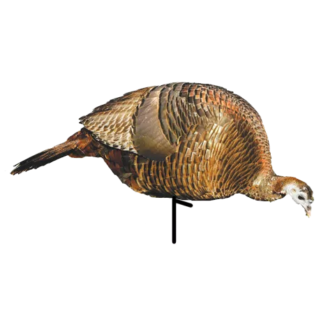 Montana Feeder Hen Hd Decoy #MON00032