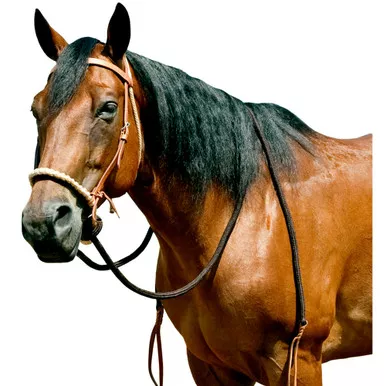 MUSTANG Brown Breaking Hackamore with Round Braided Noseband (8167)